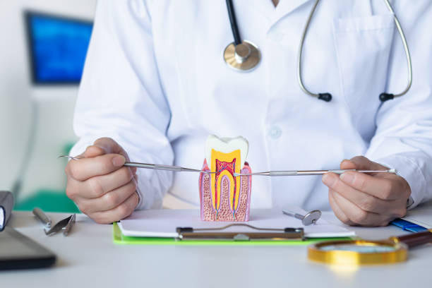Best Emergency Denture Repair in Montclair, VA